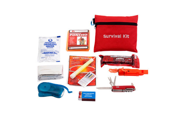 LDS Survival Mini