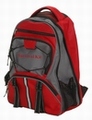 Backpacks/Bags