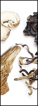 Blend, Stir Fry Mushroom