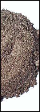 Bolete Powder