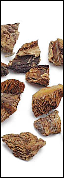 Boletes, Chilean, Kibbled