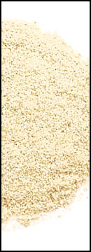 Champignon (white Button)  Powder