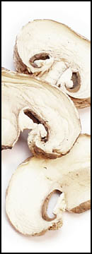 Champignon (white Button), Sliced