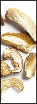 Porcini  B  ( Cepes )