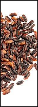 Black Japonica Rice (25 Lb Bag )