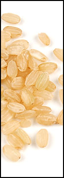 Brown Rice, Short Grain (25 Lb Bag )