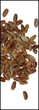 Camargue Rice (french Red) (25 Lb Bag )