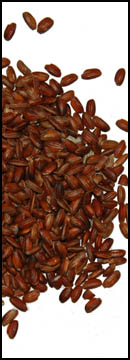 Himalayan Red Rice, Short Grain (bhutanese) (25 Lb Bag )