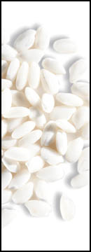 Mochi Rice (25 Lb Bag )