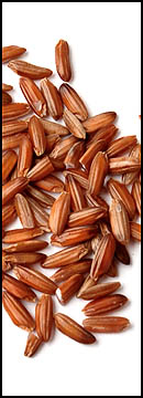 Natural Red Rice (25 Lb Bag )