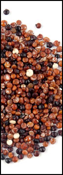 Blend, Quinoa, Red &amp; Black (25 Lb Bag )