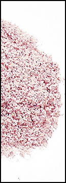 Cornmeal, Red (25 Lb Bag )