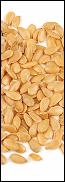 Freekeh (25 Lb Bag )
