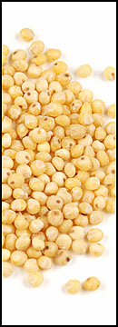 Millet Seed (25 Lb Bag )