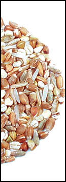 Mix, Nine Grain* (25 Lb Bag )