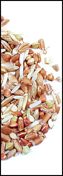 Mix, Seven Grain* (25 Lb Bag )