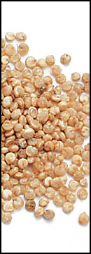 Quinoa (25 Lb Bag )