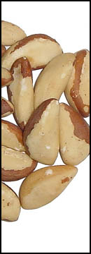 Brazil Nuts, Medium* (5 Lb Bag)