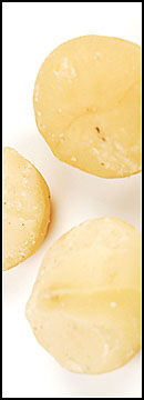 Macadamia  Nuts* (5 Lb Bag)