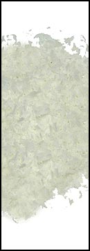 Macaroon Coconut No So2* (5 Lb Bag)