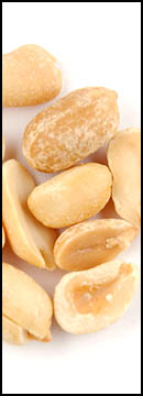 Peanuts, Salted, Roasted* (5 Lb Bag)