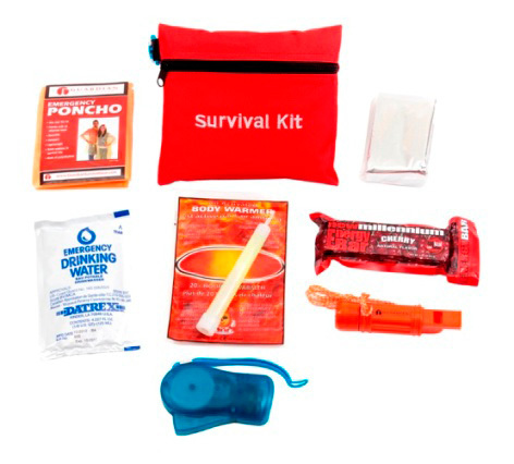 LDS Survival Mini for Children