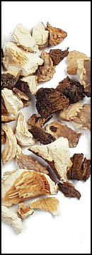 Blend, Mushroom, Kibbled