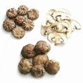 Dried Mushrooms