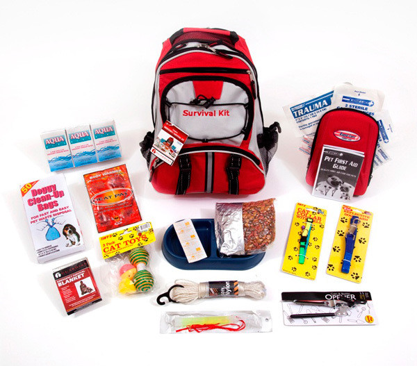 LDS Cat Survival Kit