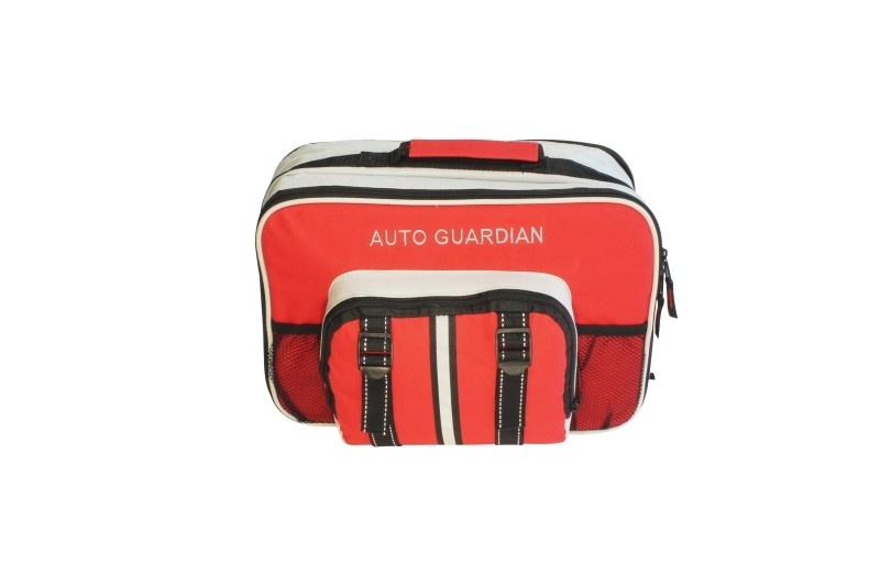 LDS Family Auto Bag