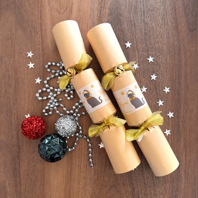 Gourmet Bon Bons For Cats