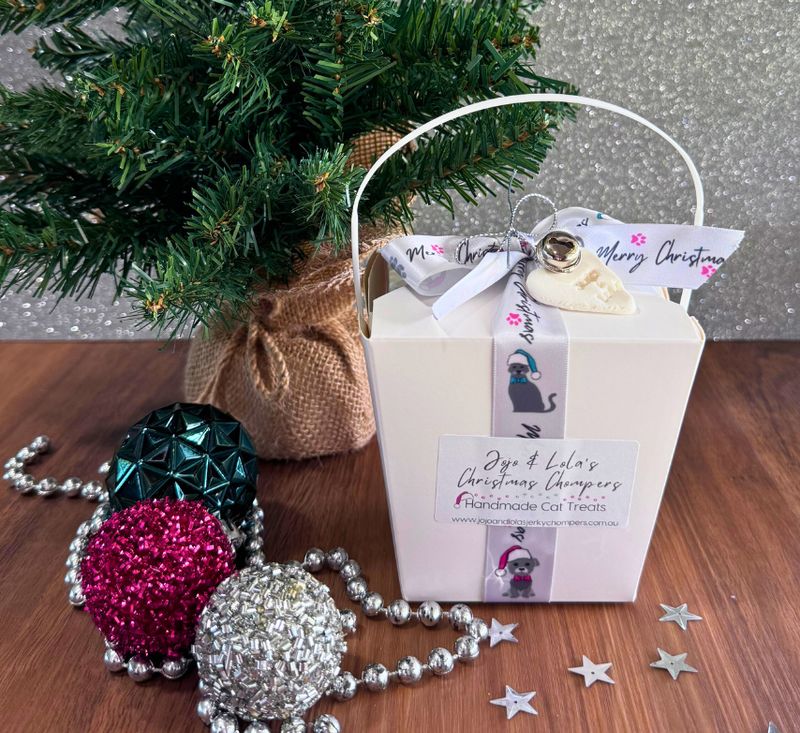 Christmas Gift Box - KittyCat