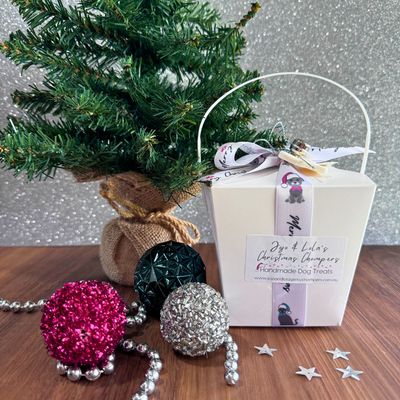 Christmas Gift Box - Dog