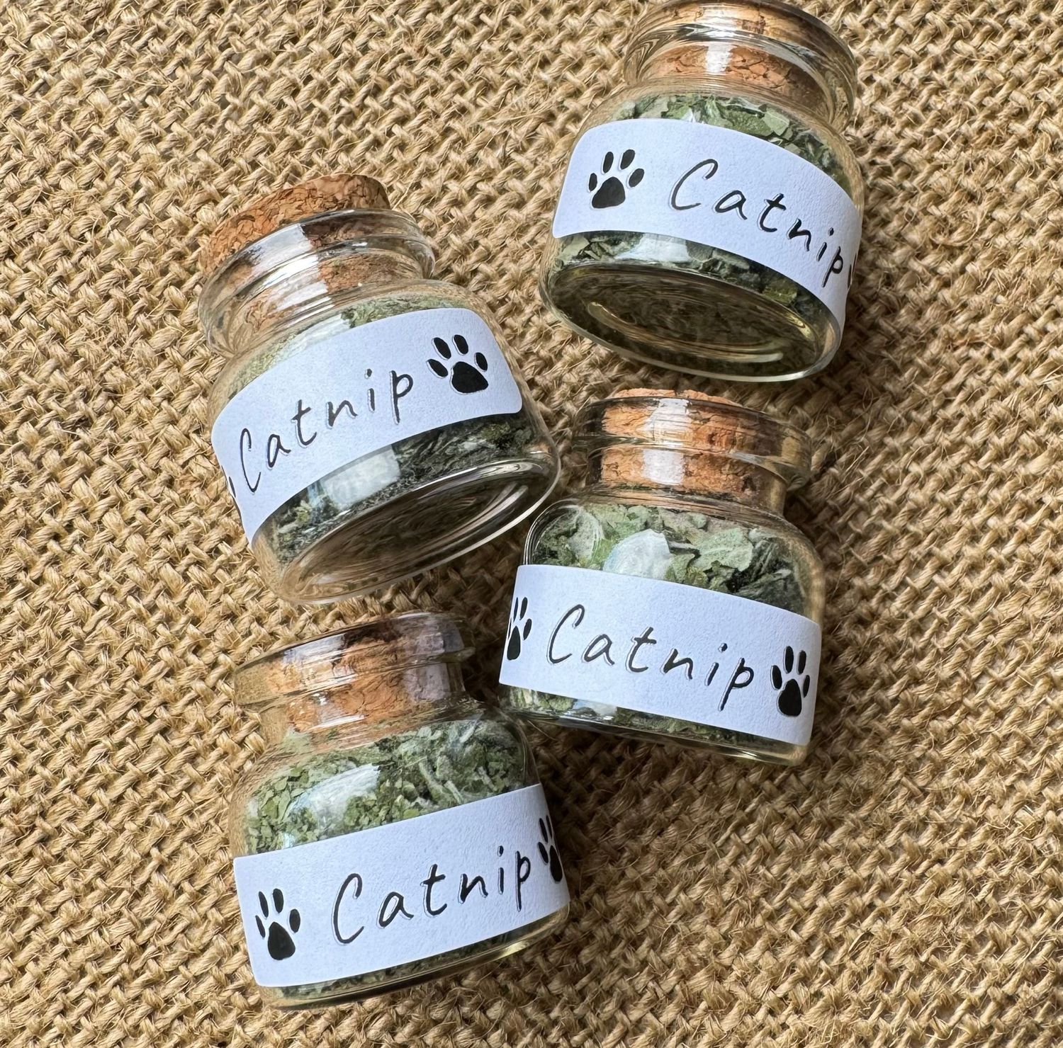 Dried Catnip