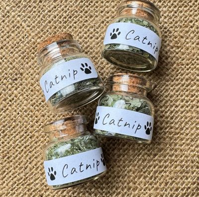 Dried Catnip