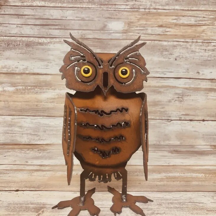 MA Owl