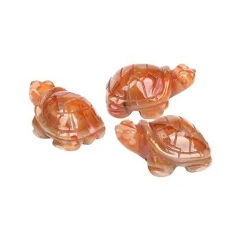 Carnelian Turtle