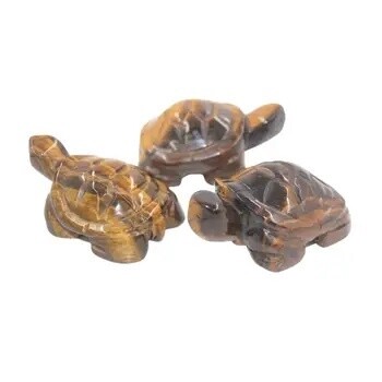 Tiger Eye Turtle