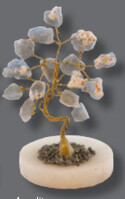 Oak Tree Angelite Andean z