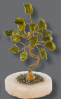 Oak Tree Serpentine Andean z