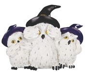 Owls See No Evil