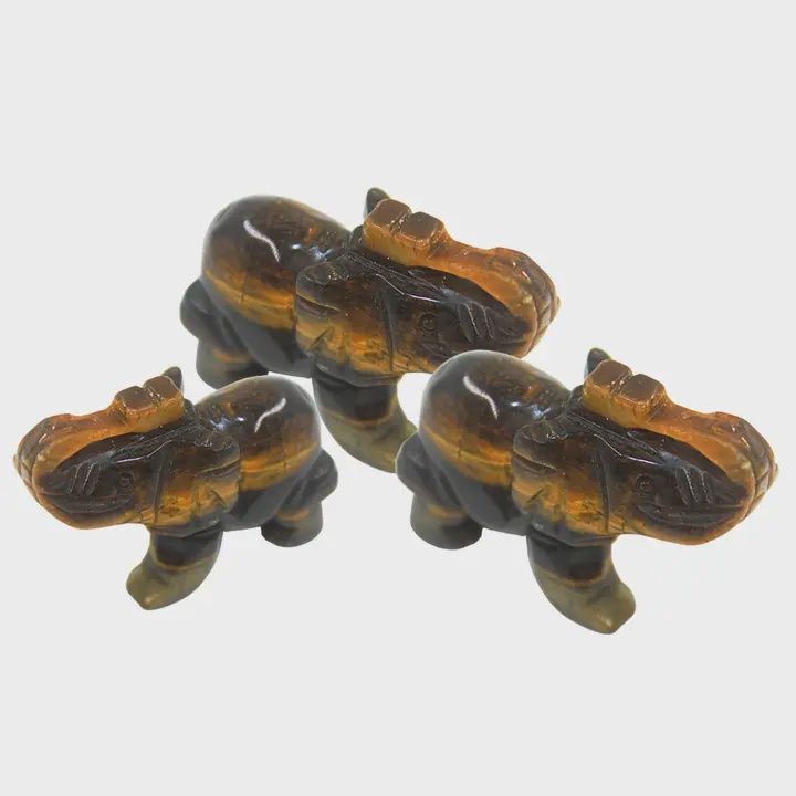Tiger Eye  Elephant