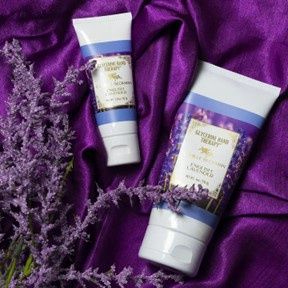 English Lavender