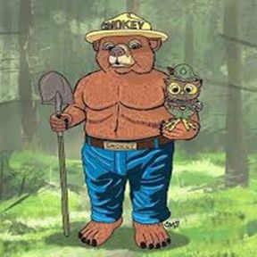 Friends of the Forest