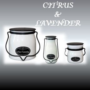 Citrus &amp; Lavender