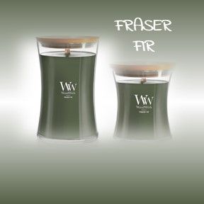 C Fraser Fir
