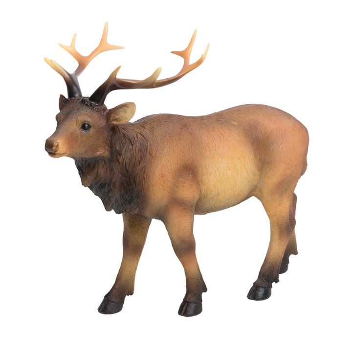 Elk Standing