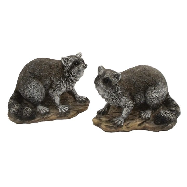Raccoon