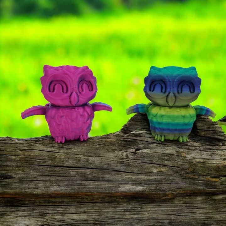 Owl Tiny
