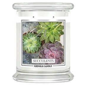 Succulents, Size: 14.5 oz